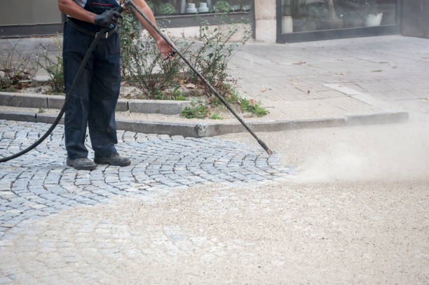 Best Roof Washing  in Rector, AR