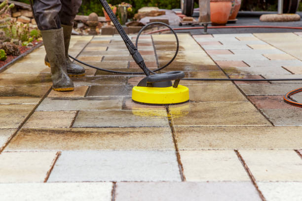 Best Solar Panel Cleaning  in Rector, AR