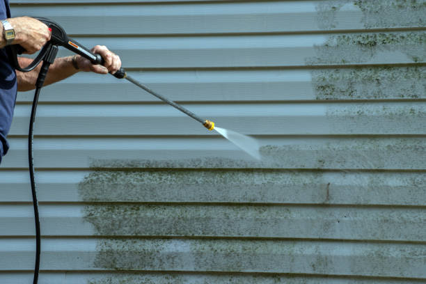 Best Fence Cleaning  in Rector, AR